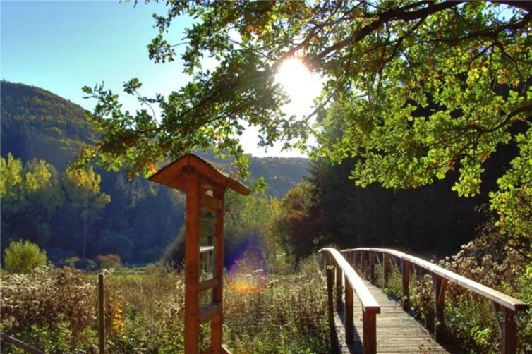 Jubiläumswanderung zum 20-jährigen Sahrbachweg im Sahrbachtal