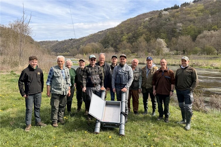 Angelsportverein Hönningen-Liers stärkt heimische Bachforelle an der Ahr