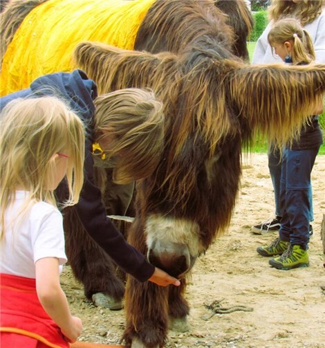 Vier Tage Abenteuer und frischer Wind um die Nase!