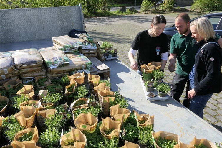 300 Pflanzpakete ausgegeben