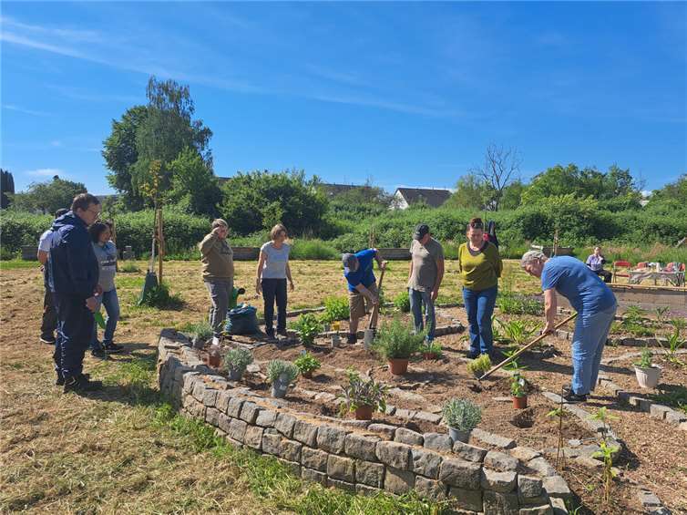 Erstes Treffen der „Kräuterfreunde im Gemeinschaftsgarten“ am 6. Juni 2025, 10 Uhr 