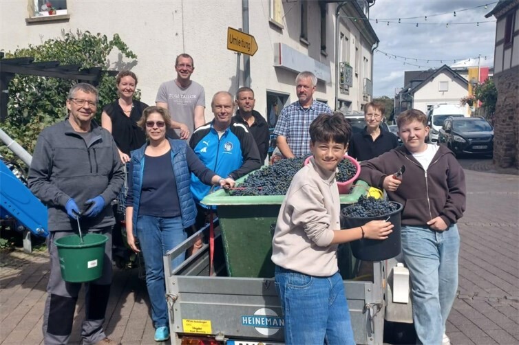 Weinlese in Bachem