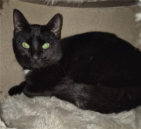 Billy sucht ein liebevolles Zuhause