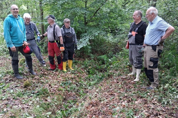 Arbeiten zur Verbesserung des Hochwasserschutzes in Verbindung mit dem Naturschutz