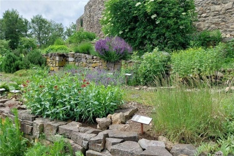 Kräuter-Märchen-Rundgang auf Burg Olbrück am 10.05.2026