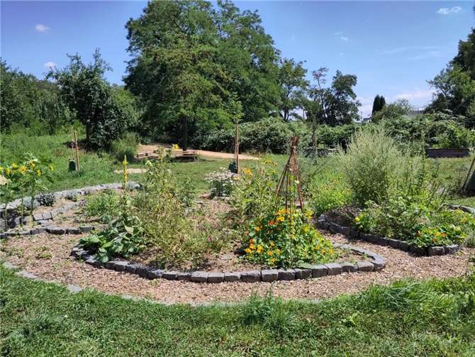 Energie und Entspannung im Gemeinschaftsgarten Sinzig 