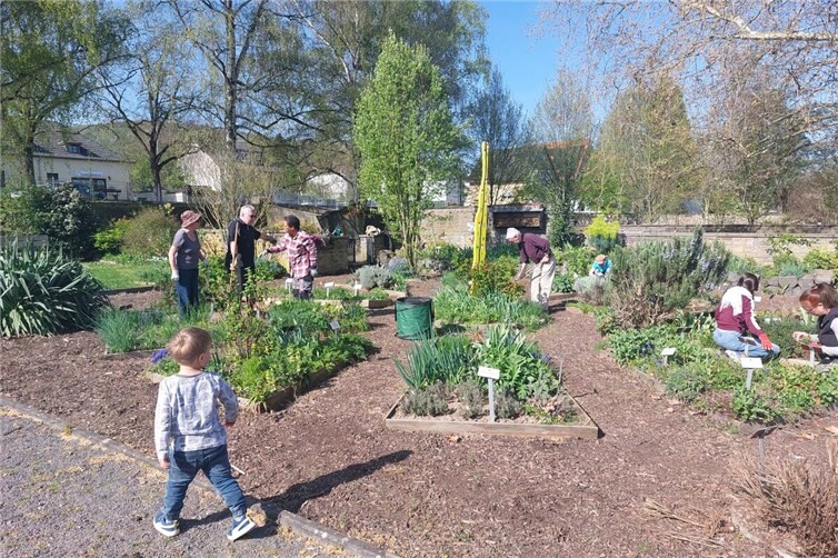Treffen der Kräutergarten-Freunde im Stadtpark Remagen im August