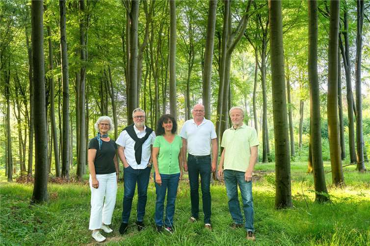 Sinziger Grüne setzen sich für weniger Holzeinschlag ein 