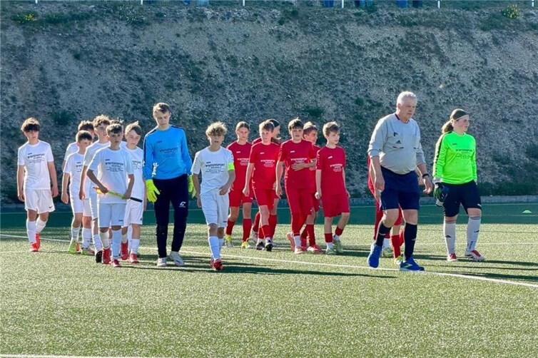 Die D-Junioren der SG Heimersheim verpassen die Verteidigung der Tabellenführung knapp