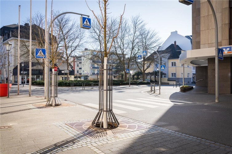 Baumgitter in Bad Neuenahr-Ahrweiler für Innenstadt neu installiert