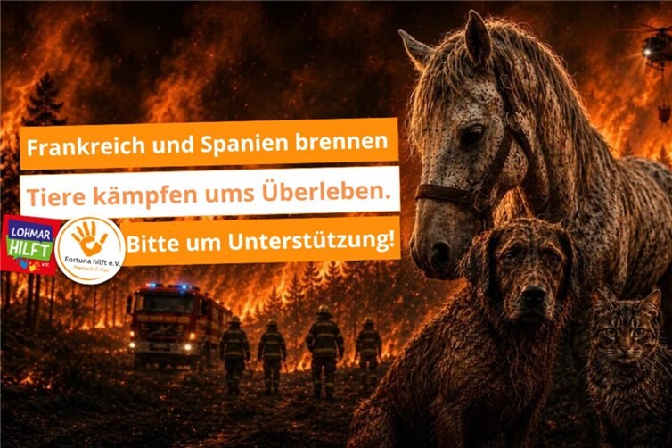 Hilfe für Tiere in Brandgebieten Frankreichs und Spaniens koordiniert