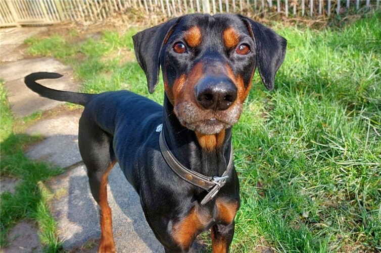 Eike sucht sportliche Menschen