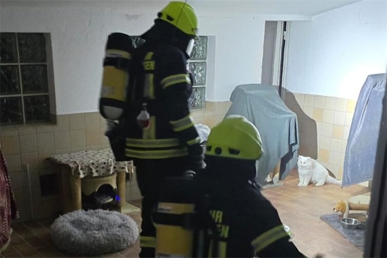 Einsatzübung der Feuerwehr im Tierheim Remagen