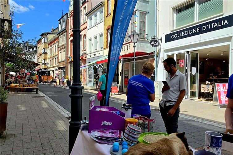 Infostand des Katzenschutzvereins Bad Neuenahr-Ahrweiler erfreut Besucher mit vielfältigen Themen