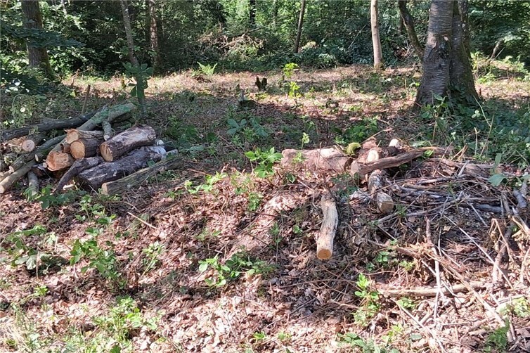 Arbeiten zur Verbesserung des Hochwasser-/ Naturschutzes im Bereich „Bruch“ - Kempenich