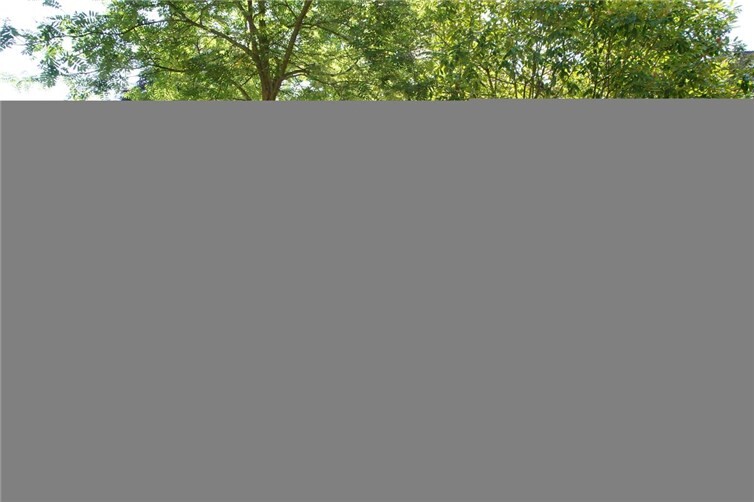 Spiele-Tage im Kloster Calvarienberg mit rund 1.000 Besuchern und über 150 Spielen