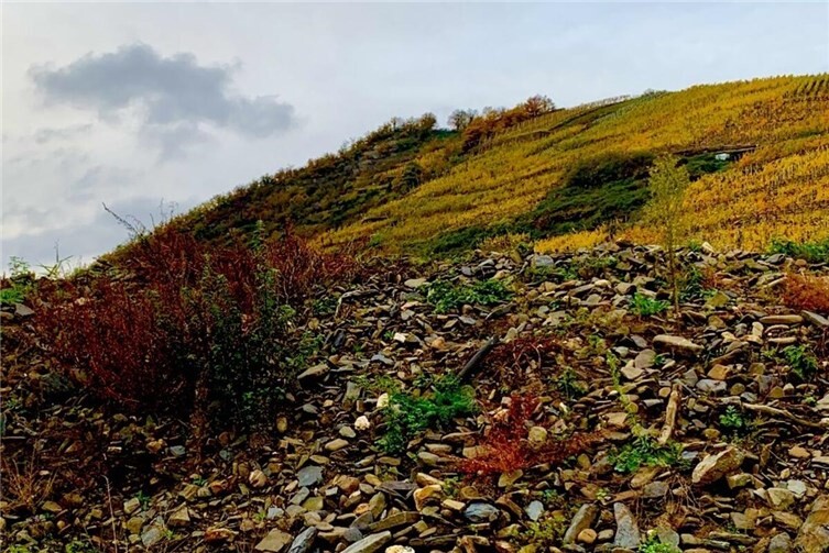 Hermann B. dokumentiert mit Kunst den Wandel im Ahrtal nach der Flut