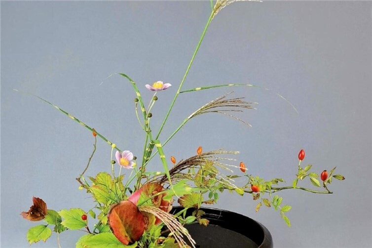 Ikebana im Sinziger Schloss