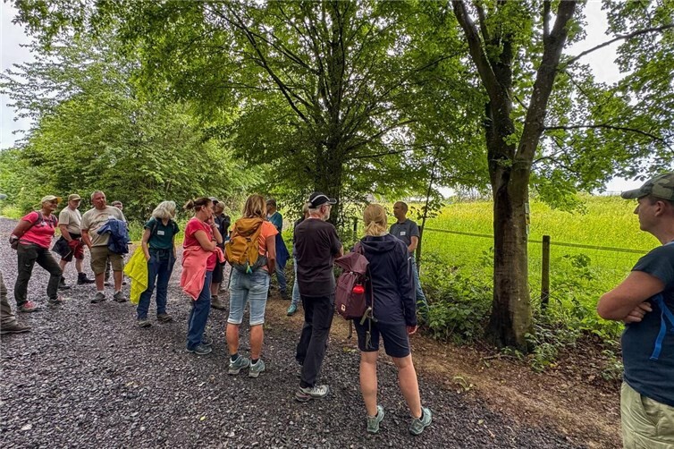 Ehrenamtliche Wegepaten für Wanderwege in der Verbandsgemeinde Altenahr gesucht