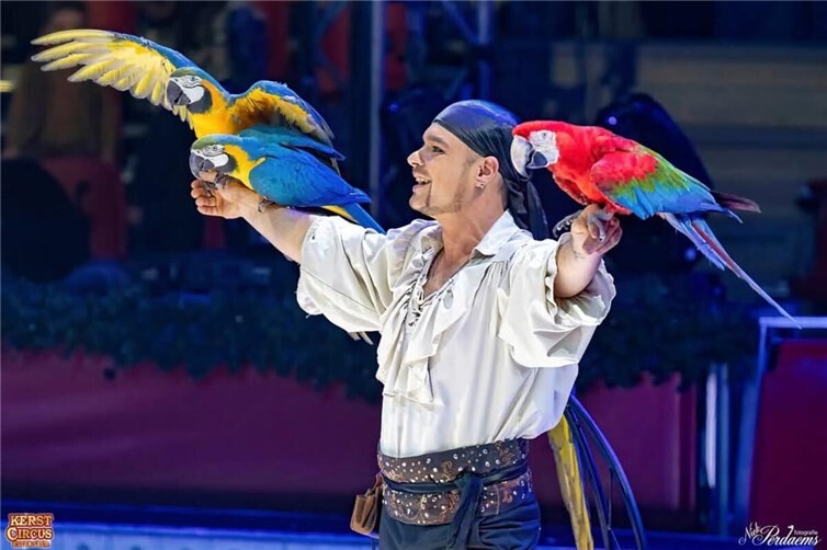 Ein Fest der Magie und des Staunens