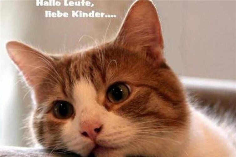 Frühlingsfest mit Flohmarkt