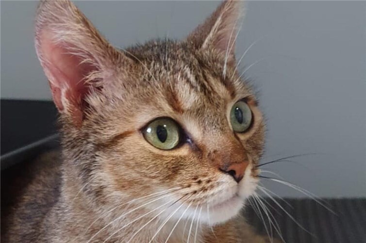 Wer schenkt Mia Liebe und Geborgenheit?