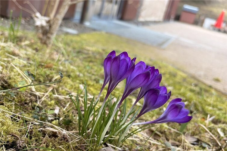 Regierungsbunker Bad Neuenahr-Ahrweiler startet Saison 2026 mit Heimattag