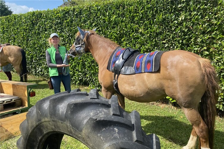 Sommerfest und Ponyreiten fand großen Zuspruch