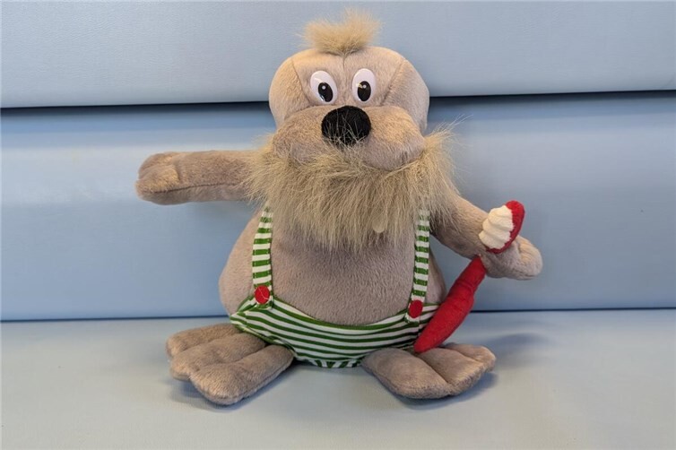 Zahngesundheit fördern in der Kita Rappelkiste in Bad Neuenahr-Ahrweiler