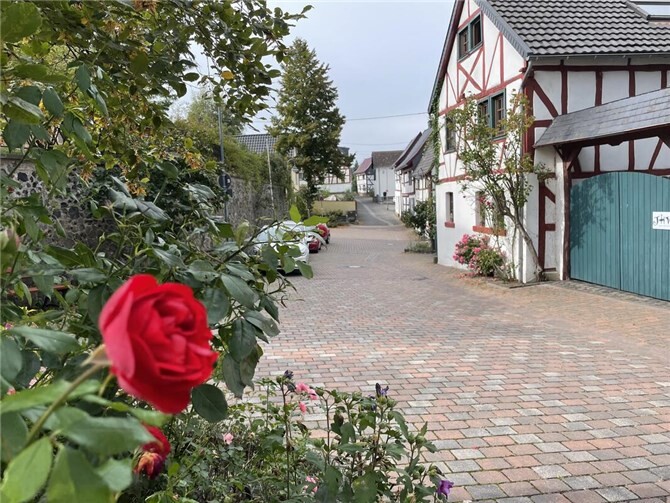„Heimat?Land!“ #009: Das Rosendorf Löhndorf