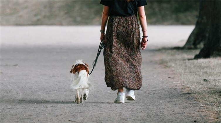 Leserbrief: „Das ist keine Tierliebe, das ist Egoismus!“