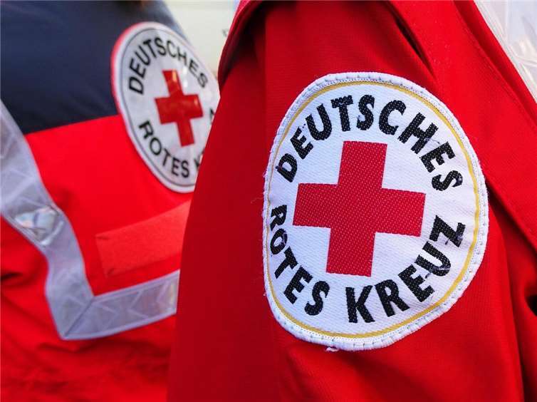 Die Betrüger verschaffen sich Zugang zu Wohnungen und Häuser und bestehlen die Bewohner 