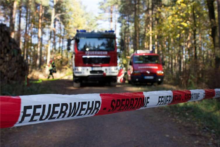 Besondere Vorsicht ist beim Grillen in Waldnähe geboten 