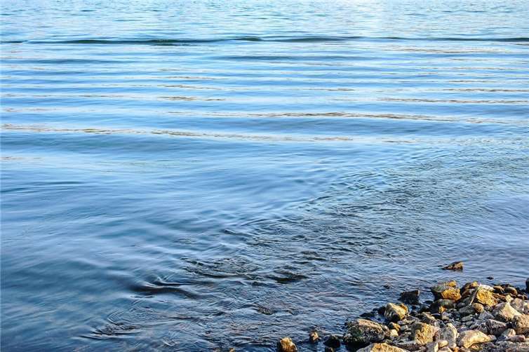 Feuerwehr und Polizei bergen leblosen Schwimmer 