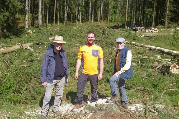 Weitere ökologische Entwicklung am Wirftbach in Quiddelbach durch Fällung von Fichten