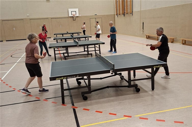Tischtennis für Erwachsene in Ringen beim TTC Karla